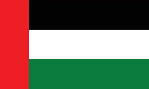 UAE Export Market - EDPillsCart